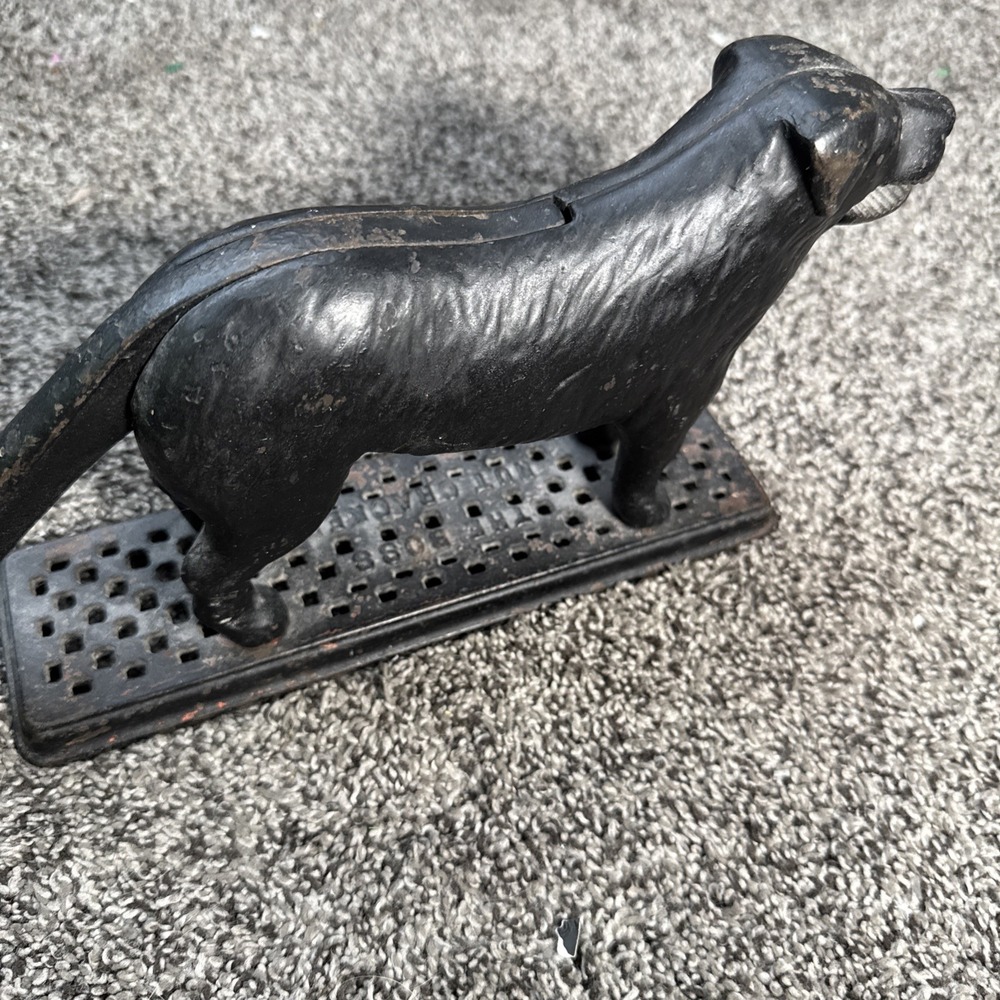 Antique Cast Iron Nutcracker, Newfoundland Dog Chicago USA - Picture 2 of 7